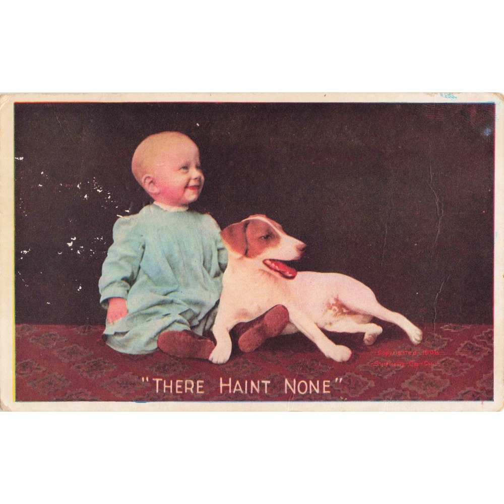 1906 There Haint None Antique Postcard Baby Jack Russell Terrier Simplicity Co - Picture 1 of 2
